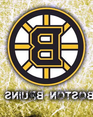 Boston Bruins Boston