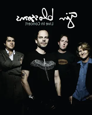 Gin Blossoms Columbus