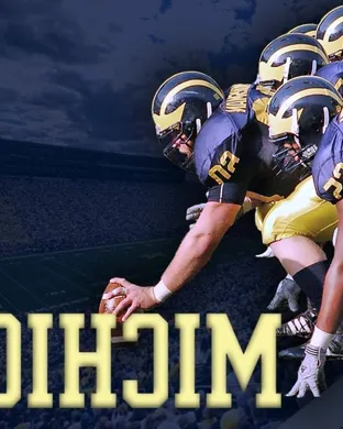 Michigan Wolverines Ann Arbor
