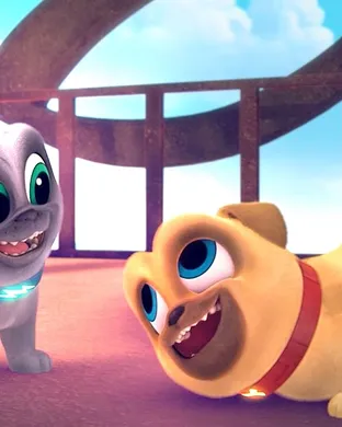 Puppy Pals Springfield